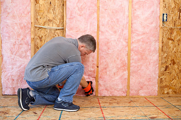Best Insulation Maintenance and Repair in Dresser, WI